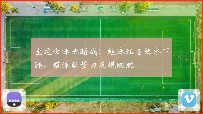 全运会泳池暗战：蛙泳组苦练水下腿，蝶泳新势力虎视眈眈 - 懂球帝推荐
